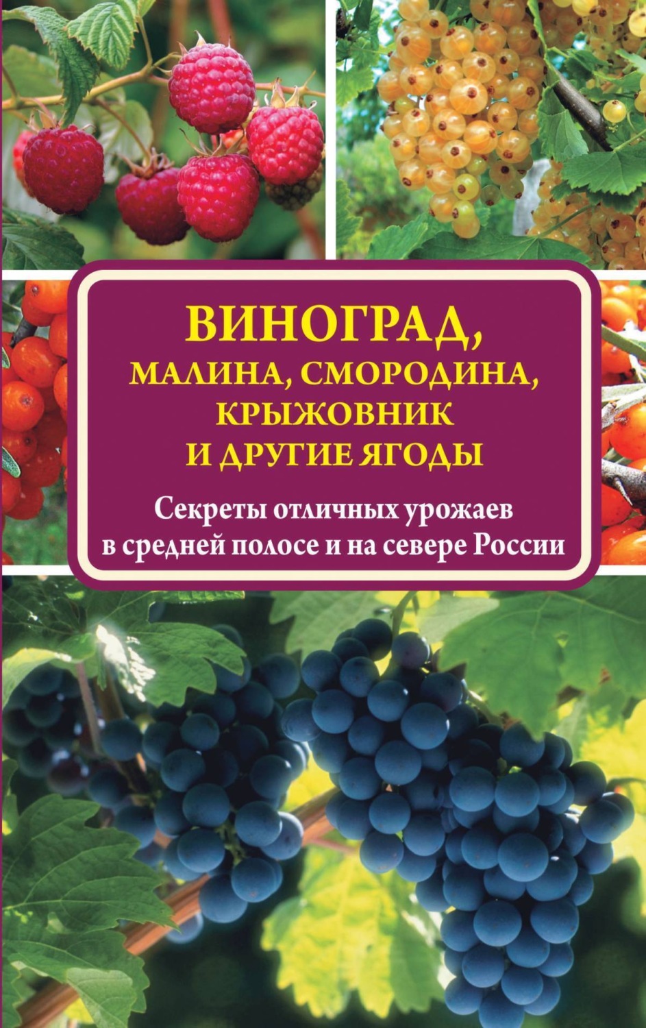Обложка книги «Виноград, малина, смородина, крыжовник и другие ягоды»