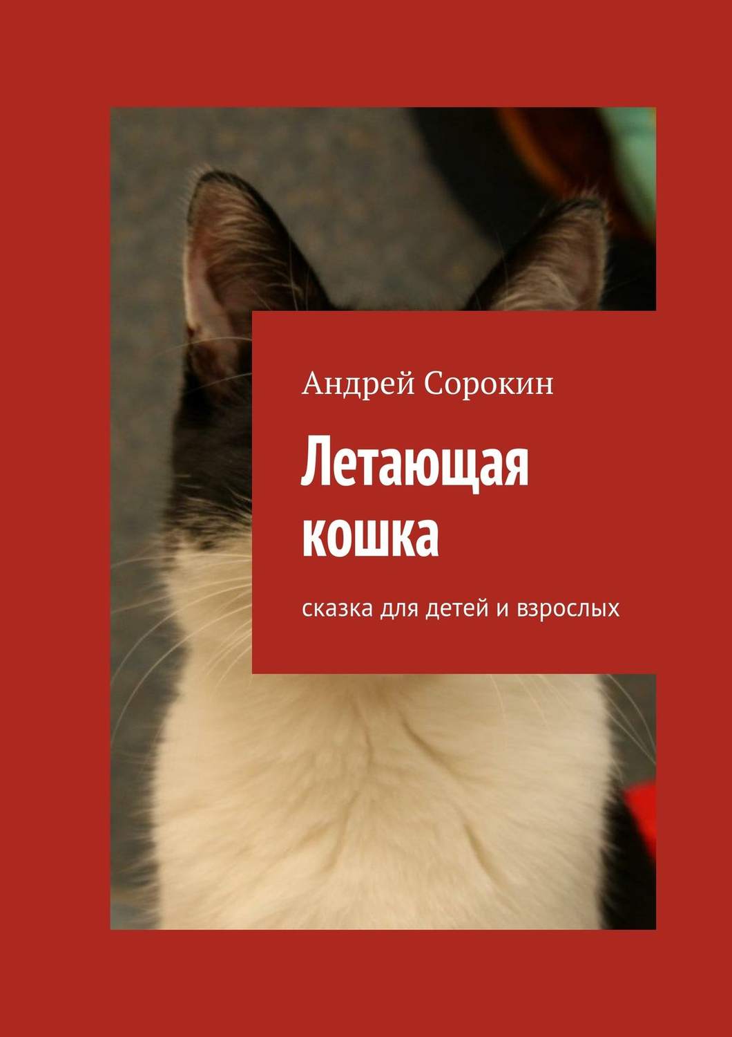 Обложка книги «Летающая кошка. Сказка для детей и взрослых»