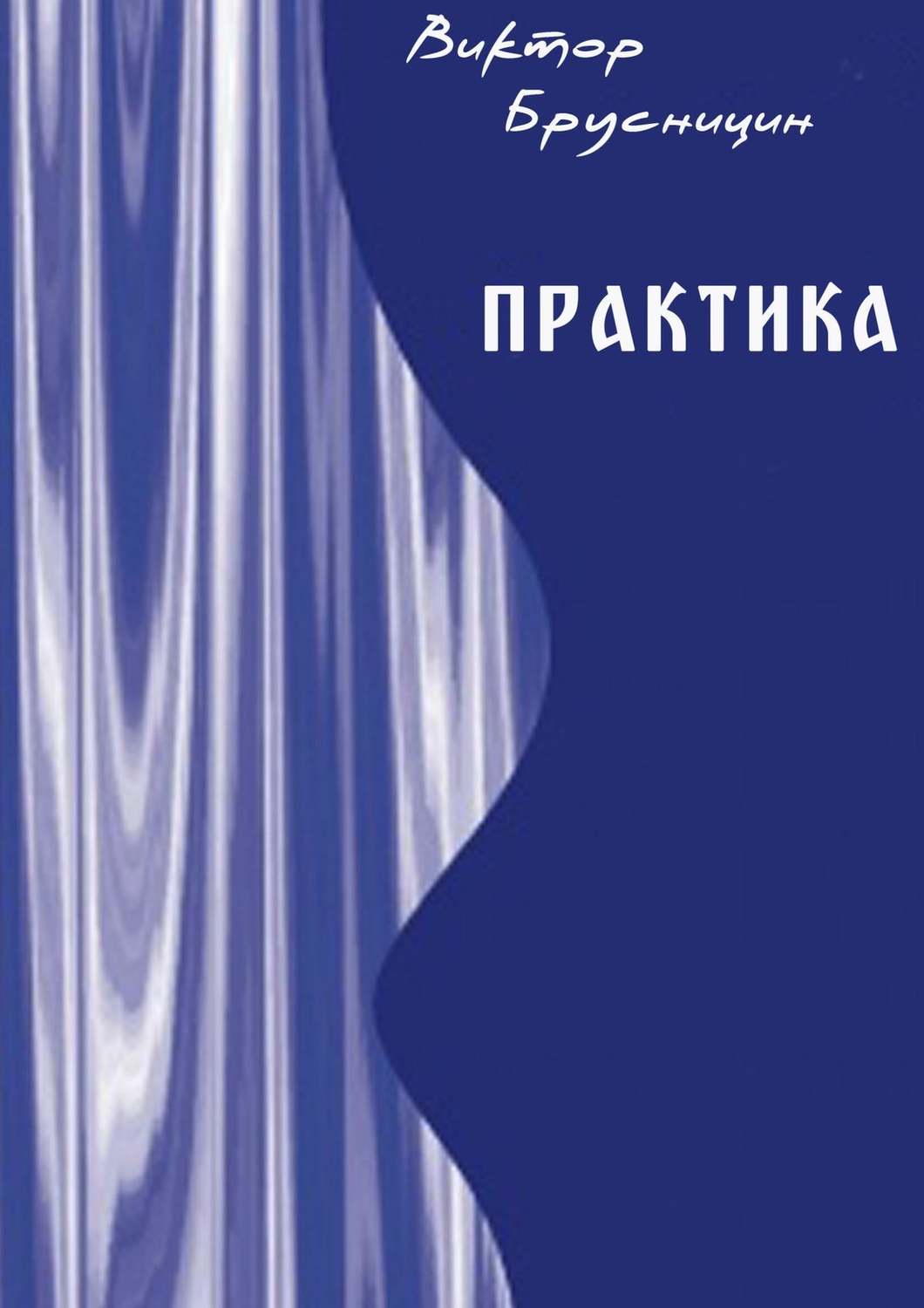 Обложка книги «Практика»