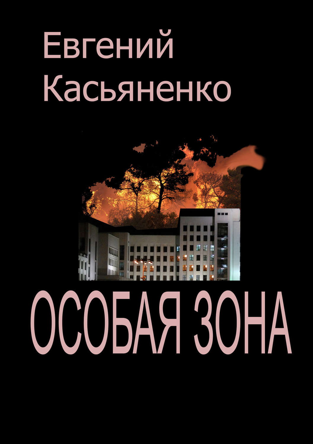 Обложка книги «Особая зона»