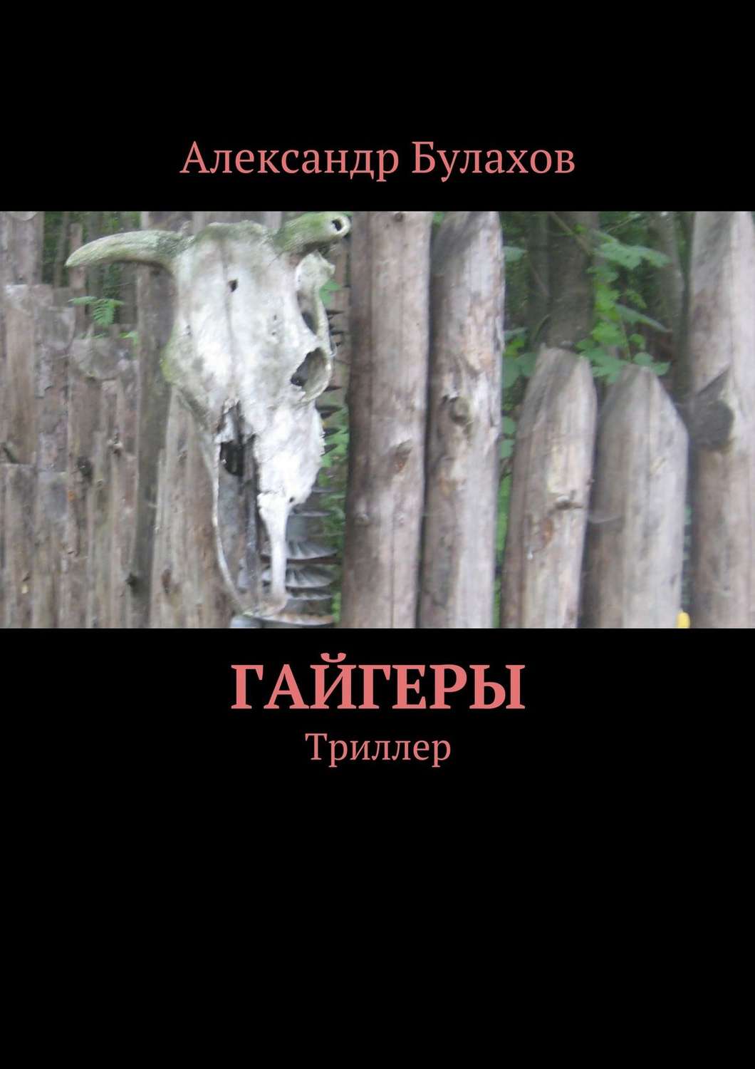 Обложка книги «Гайгеры»