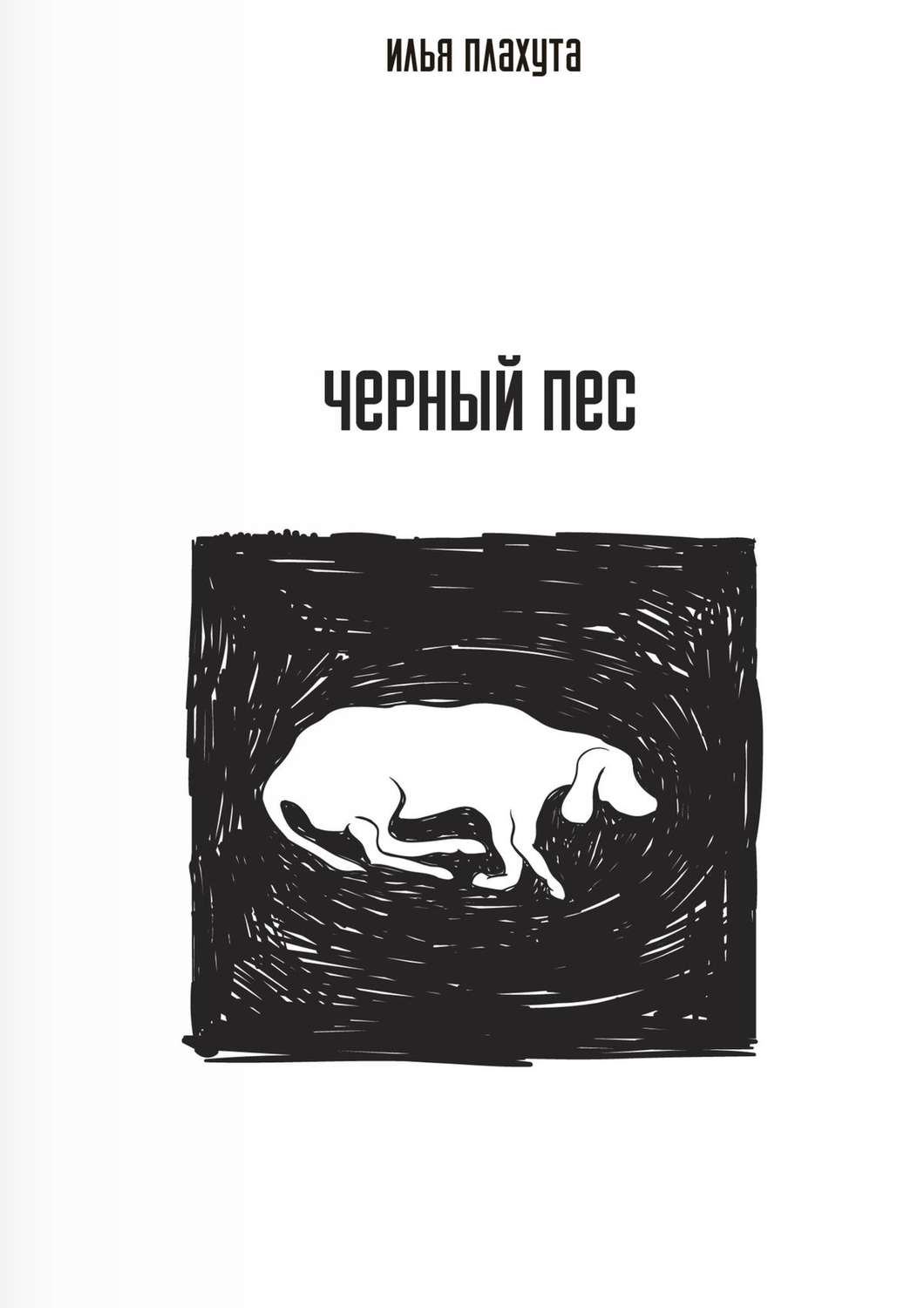 Обложка книги «Черный Пес»