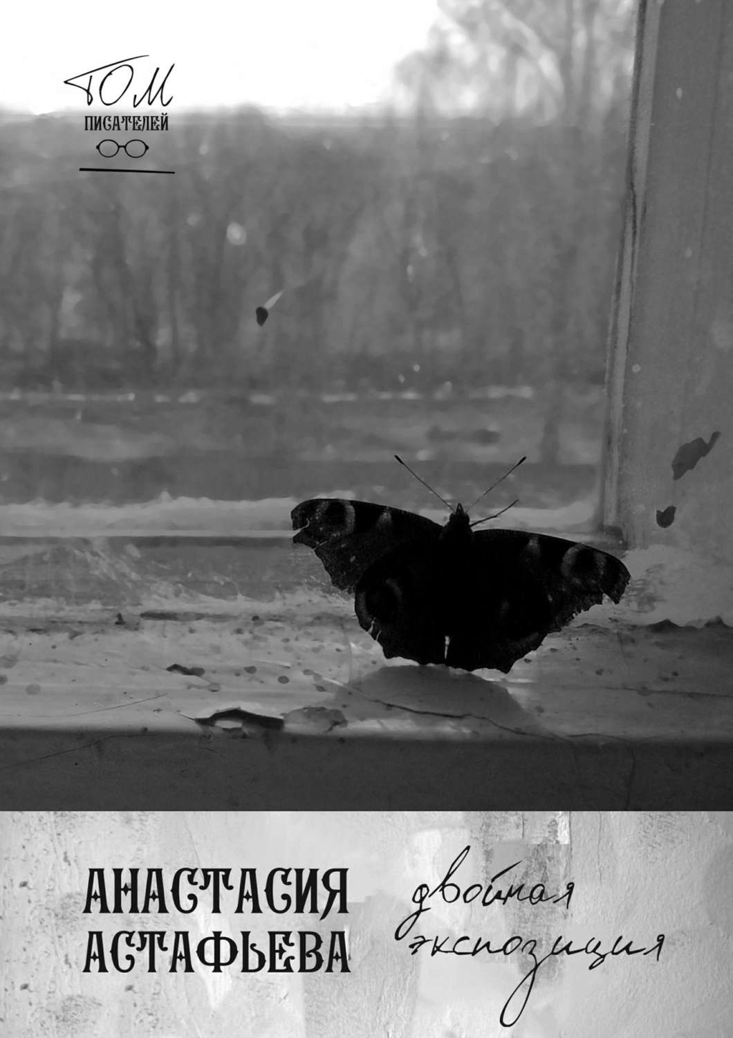 Обложка книги «Двойная экспозиция»