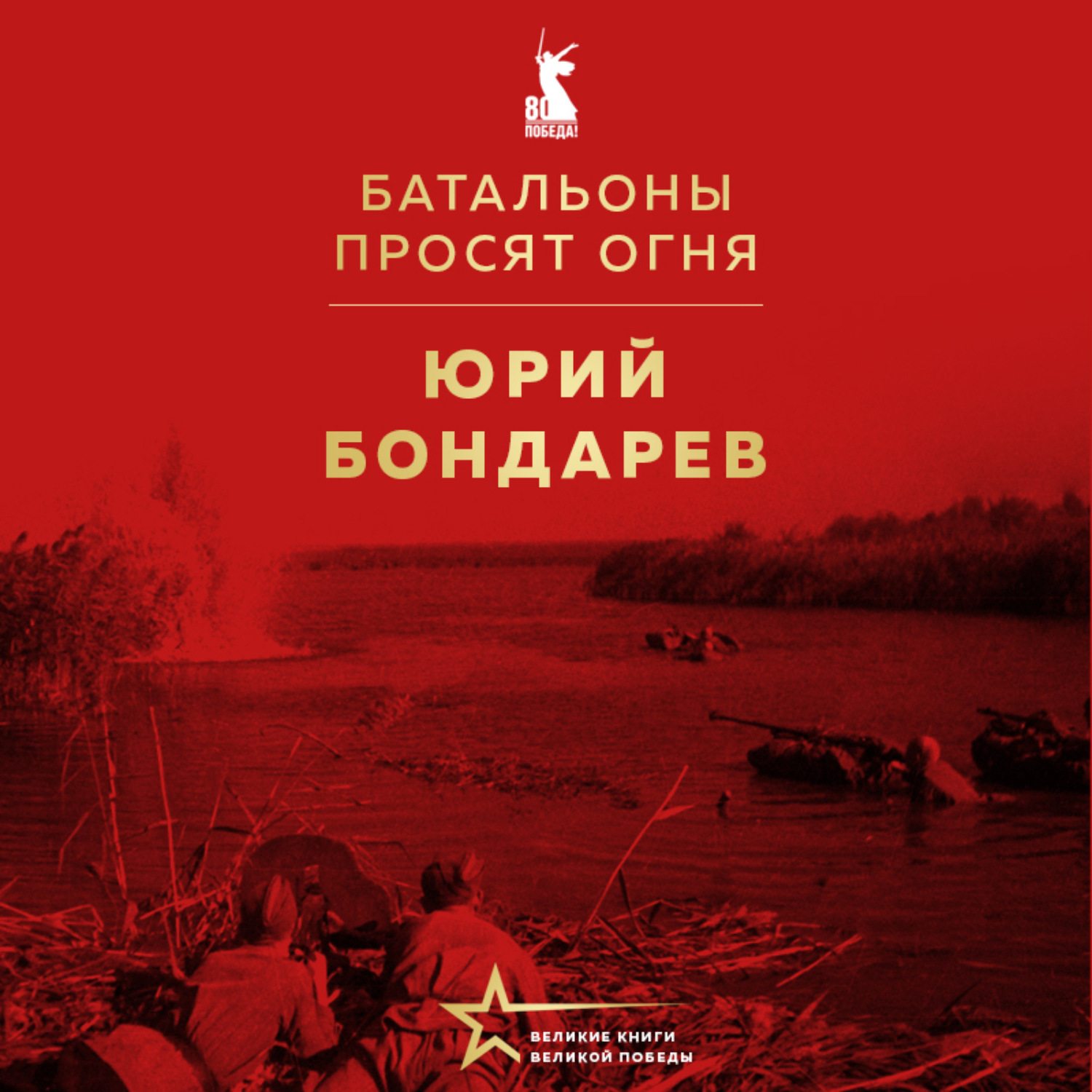 Обложка книги «Батальоны просят огня»
