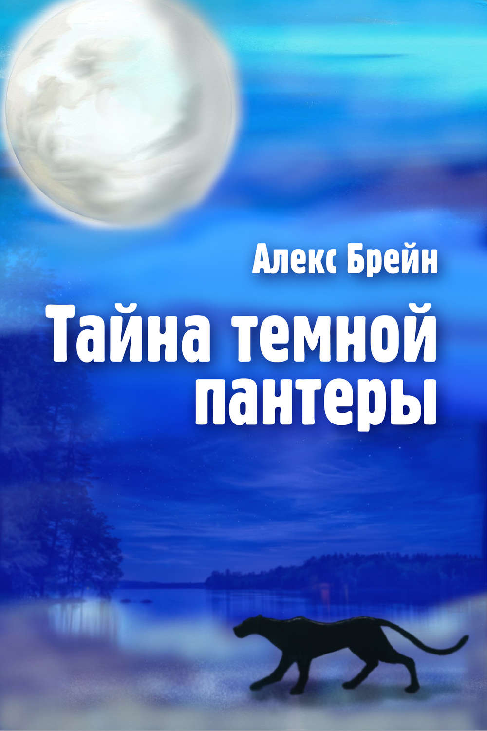 Обложка книги «Тайна темной пантеры»