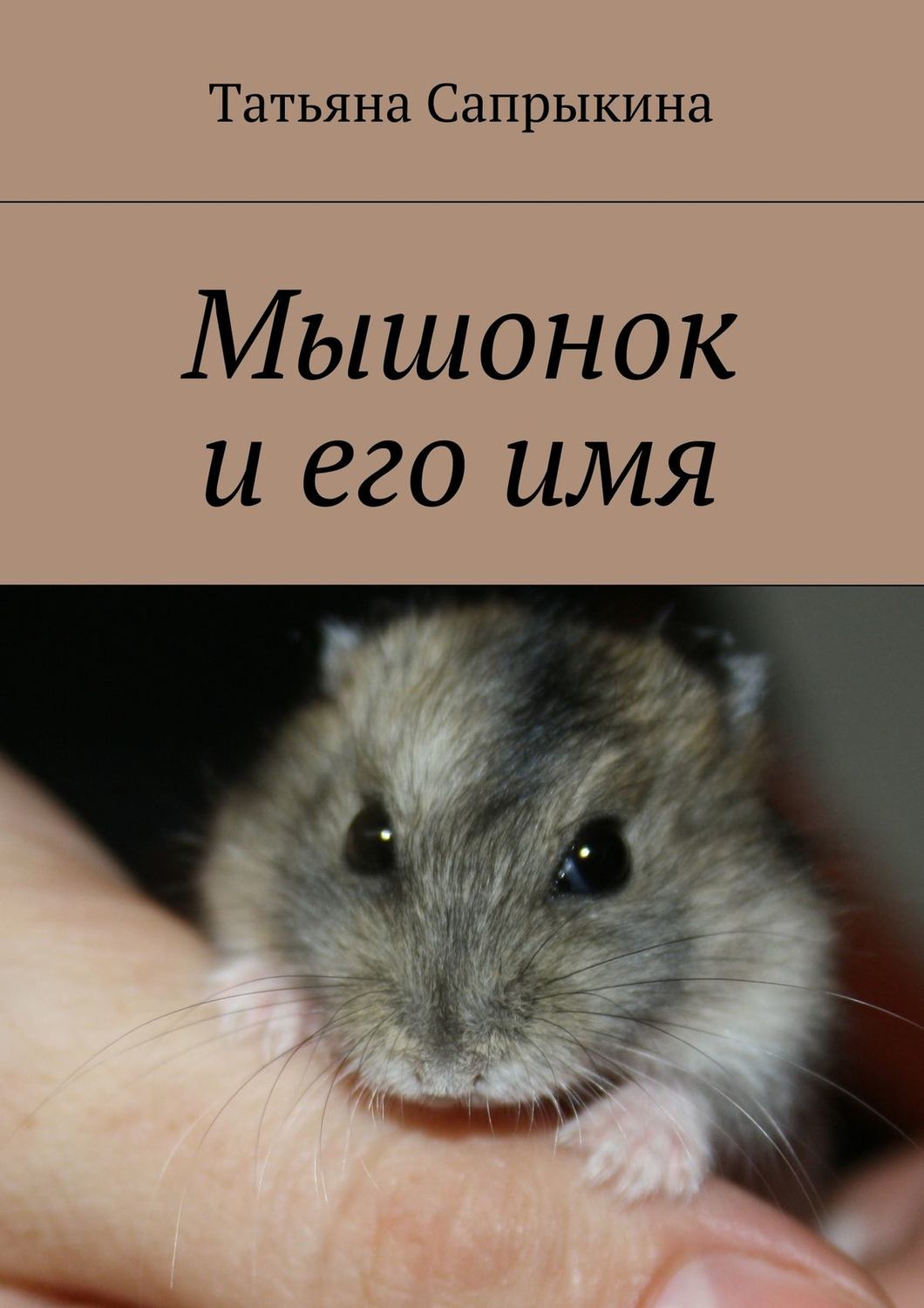 Обложка книги «Мышонок и его имя»