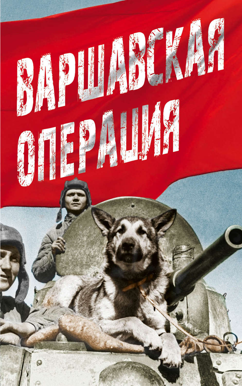 Обложка книги «Варшавская операция»