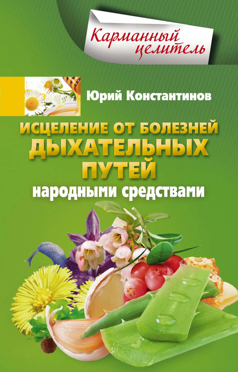 Обложка книги «Исцеление от болезней дыхательных путей народными средствами»