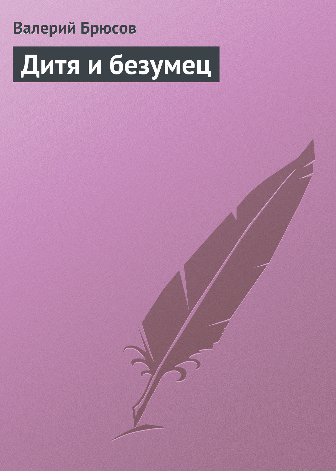 Обложка книги «Дитя и безумец»