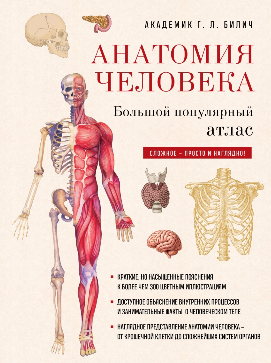 Обложка книги «Анатомия человека. Большой популярный атлас»