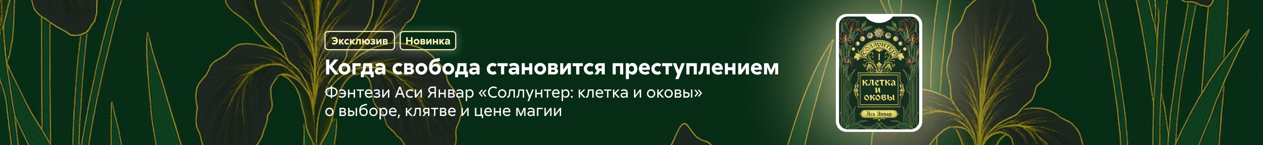 2534264 Данилова Анастасия Александровна Соллунтер: клетка и оковы баннер СВЕРХУ (все жанры) реклама платных услуг