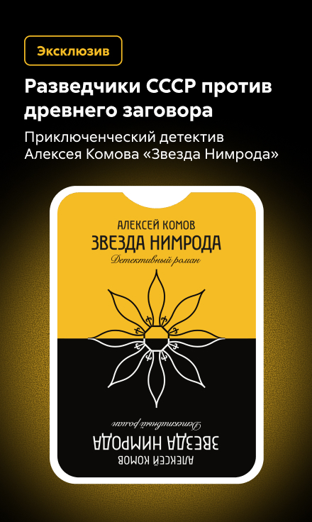 2545396 Комов Алексей Юрьевич 	Звезда Нимрода сбоку в жанре реклама платных услуг