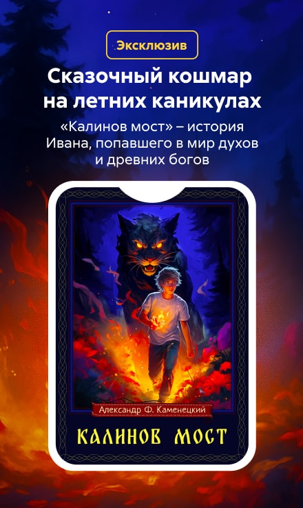 2548681 Каменецкий Александр Феликсович Калинов мост Баннер Сбоку НО В ОДНОМ ЖАНРЕ реклама платных услуг