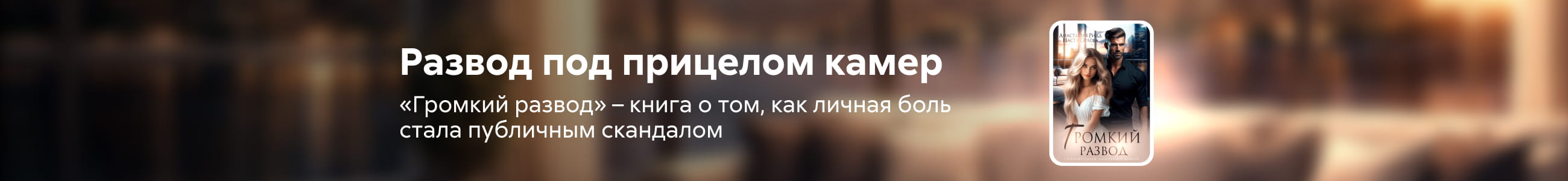 2605240 Орлова Анастасия Сергеевна	"Громкий развод " Баннер в жанре реклама платных услуг