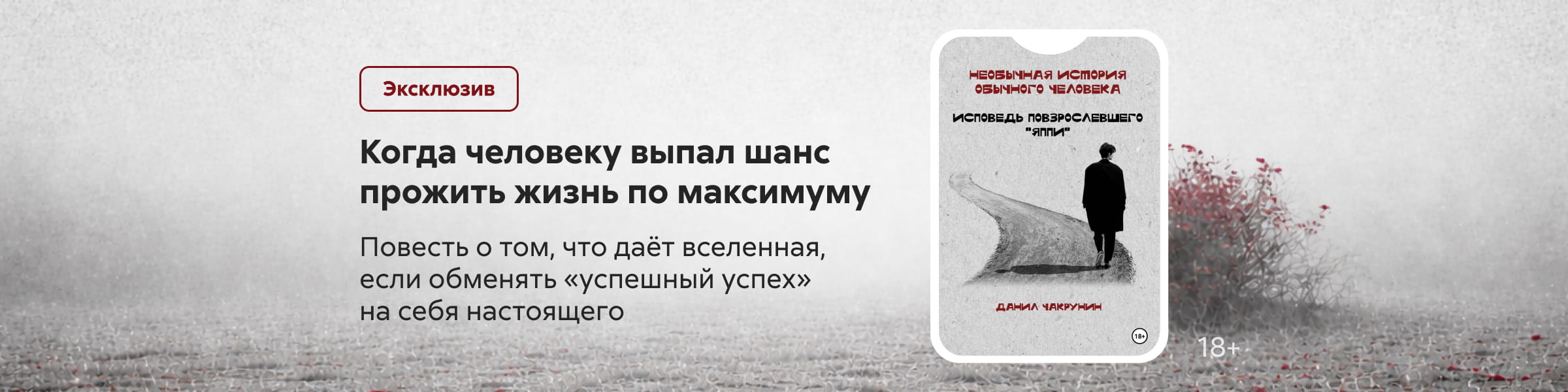 2551484 САЙТ КАРУСЕЛЬ + ПРИЛОЖЕНИЕ 4 место Денисов Ярослав Анатольевич	"Необычная история обычного человека. Исповедь повзрослевшего «яппи» " реклама платных услуг