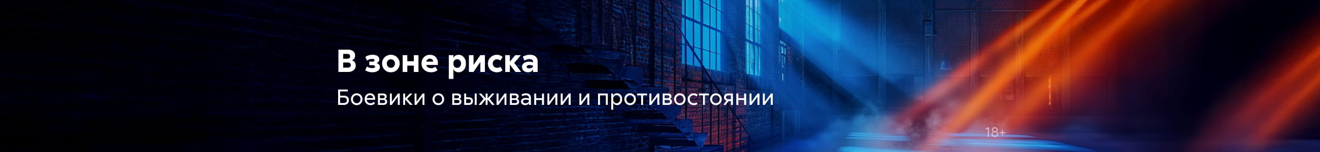 Боевики В зоне риска баннер в жанре реклама платных услуг