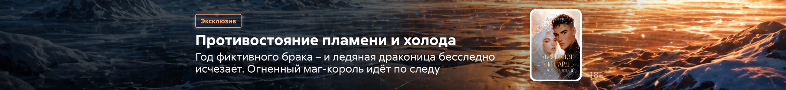 Академия Сейгард. Огонь и Лед, баннер в жанре, реклама платных услуг