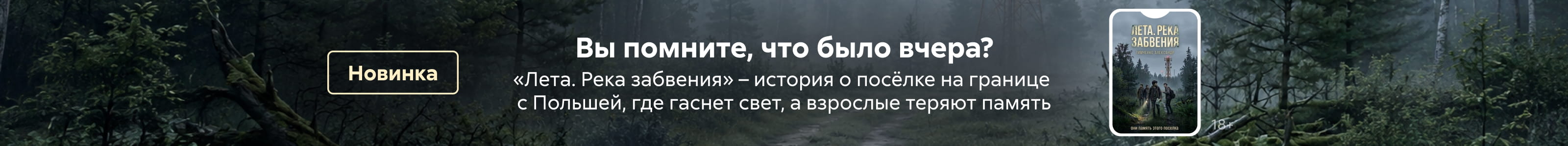 2619745 самореклама Тимченко Александр Сергеевич Лета. Река забвения, ПОИСК, реклама платных услуг