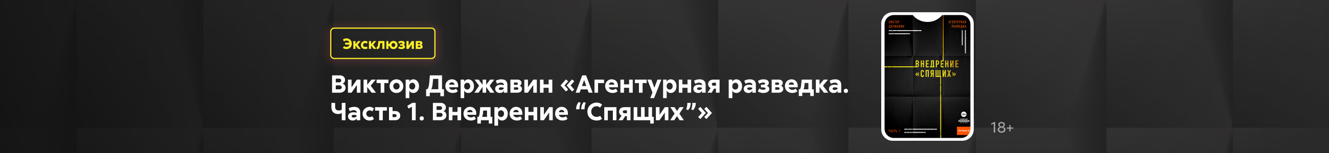 2624538, Толмачев Юрий Евгеньевич, Агентурная разведка. Часть 1. Внедрение «Спящих», БАННЕР В ЖАНРЕ, реклама платных услуг