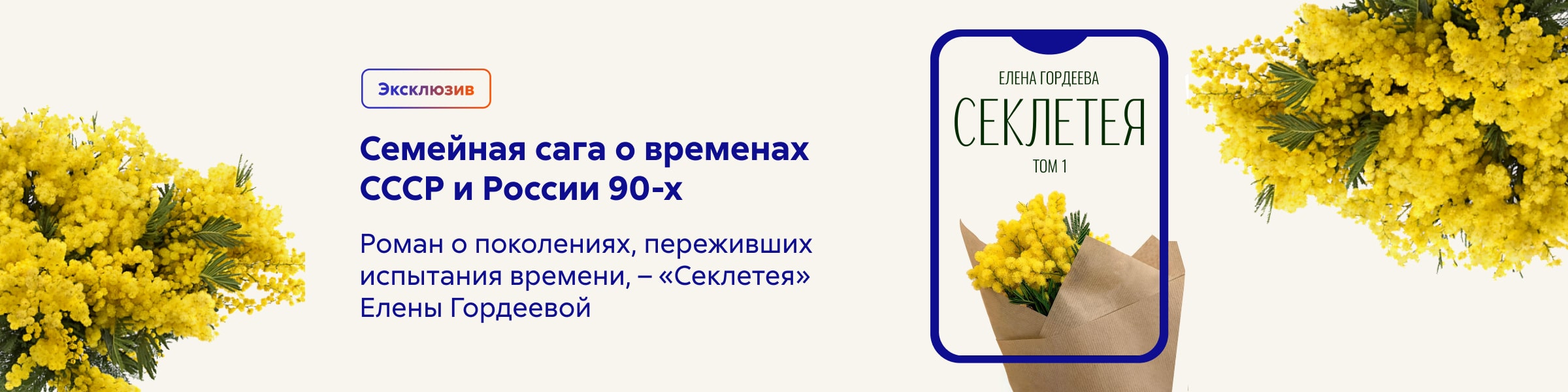 2629637, Бойченко Елена Витальевна, Секлетея, ГЛАВНАЯ 3 место, реклама платных услуг