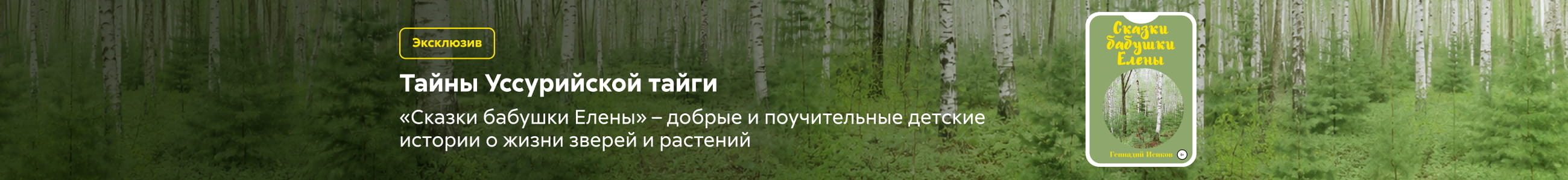 2627747 самореклама, Исиков Геннадий Александрович, Сказки бабушки Елены, БАННЕР В ЖАНРЕ, реклама платных услуг