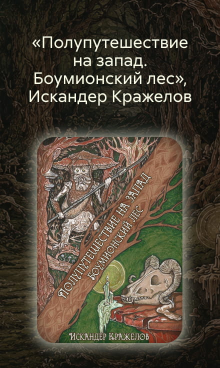 2634503, Жиреков Александр Михайлович, Полупутешествие на запад. Боумионский лес, СБОКУ, реклама платных услуг